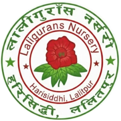 Laligurans Nursery logo